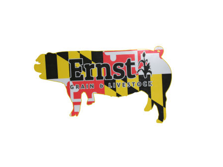 Maryland Pig Decal Online Hot Sale